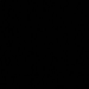 Meet your Posher, Heidy